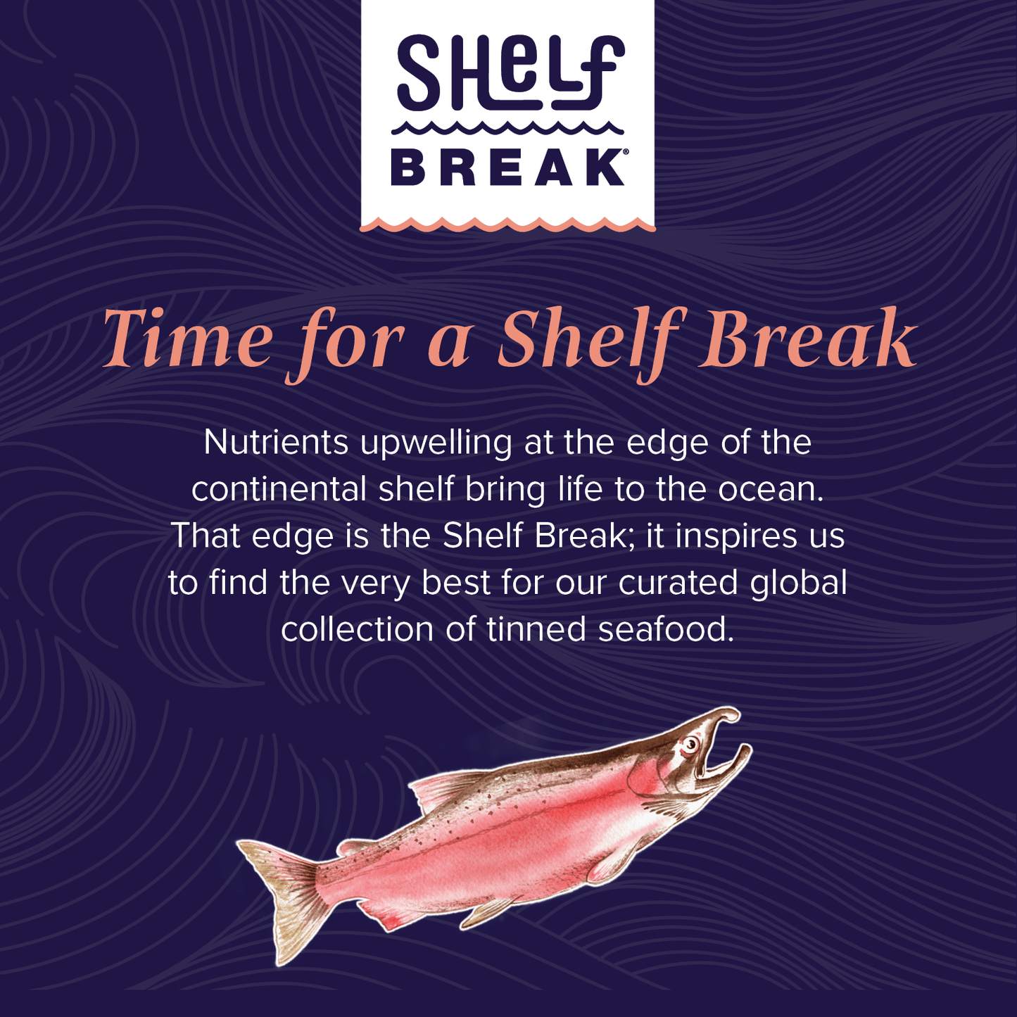 Kelp Chili Crisp Wild Alaska Coho Salmon 3.9oz Can